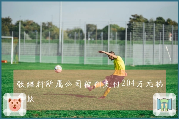 张继科所属公司被判支付204万元执行款