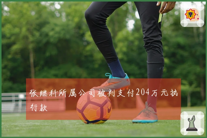 张继科所属公司被判支付204万元执行款