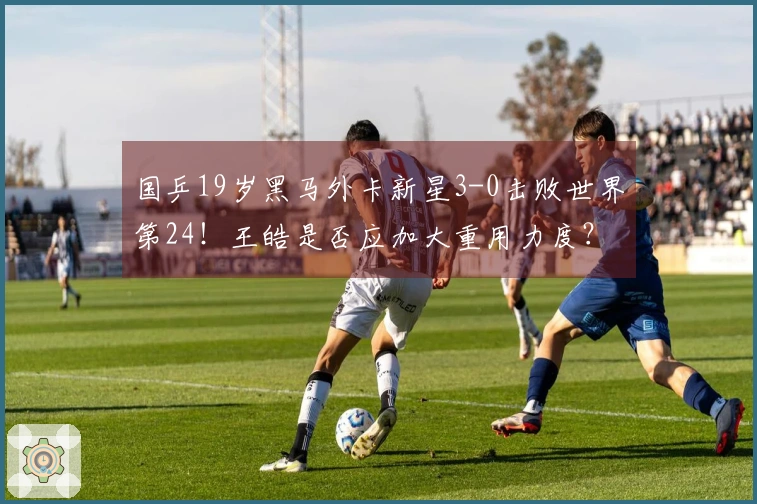 国乒19岁黑马外卡新星3-0击败世界第24！王皓是否应加大重用力度？